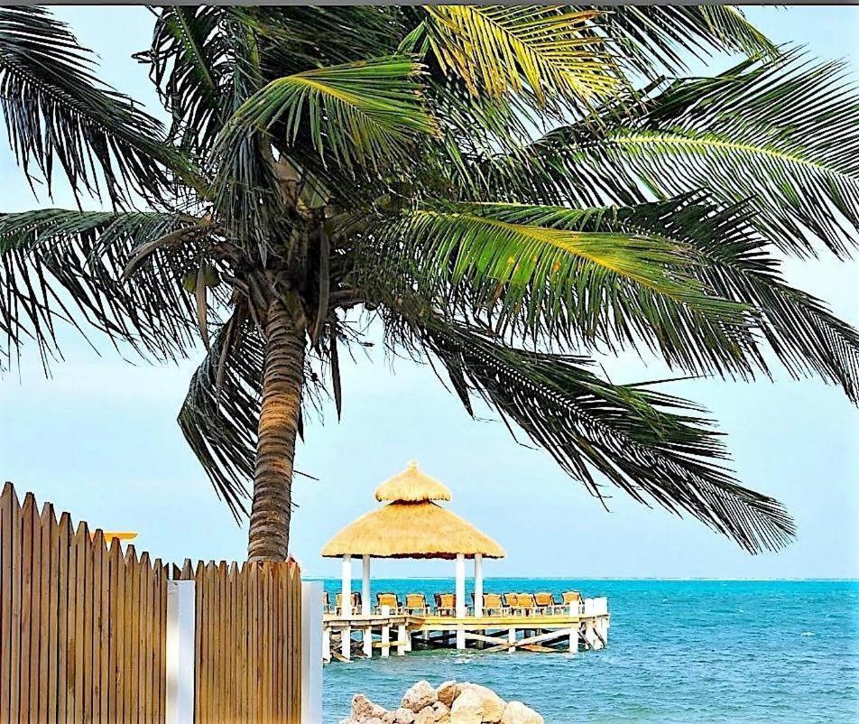 Velento Partial Ocean View Penthouse #7 Villa Caye Caulker Kültér fotó